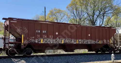 CRDX312493