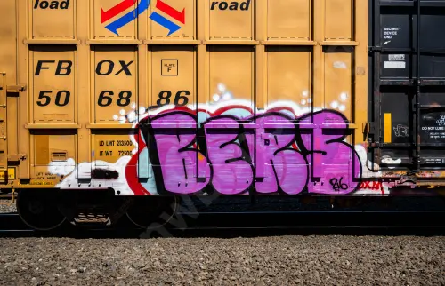 FBOX506886