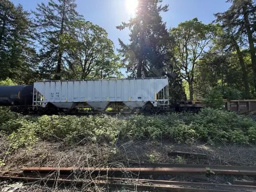 Train photo
