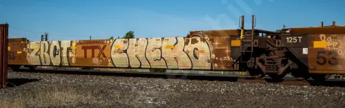 DTTX732119