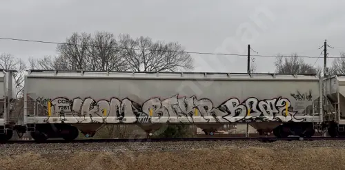 Train photo