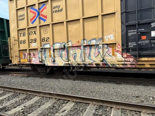 TBOX663962