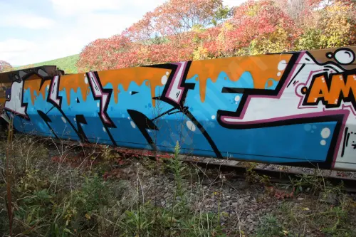 Train photo