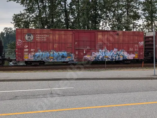 CP220341