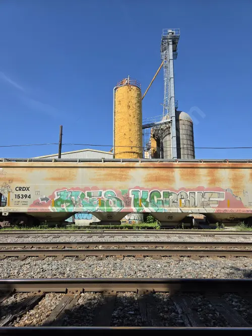 CRDX15394