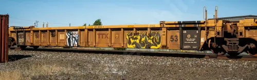 DTTX785296