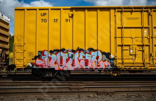 UP701791