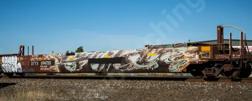 DTTX894720