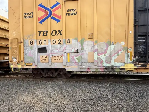 TBOX666025
