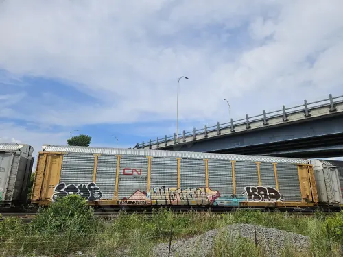 TTGX706286