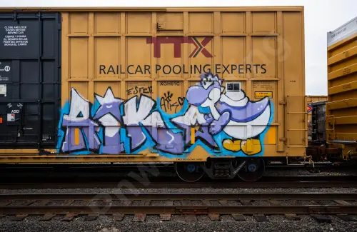 TBOX634398