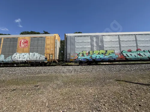 TTGX825273