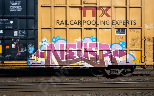 TBOX643892
