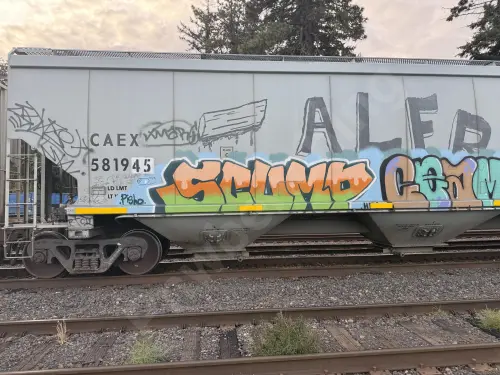 CAEX581945