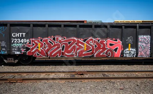 CHTT723496