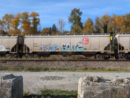 KCS289041