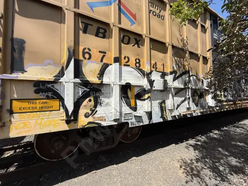 TBOX672841