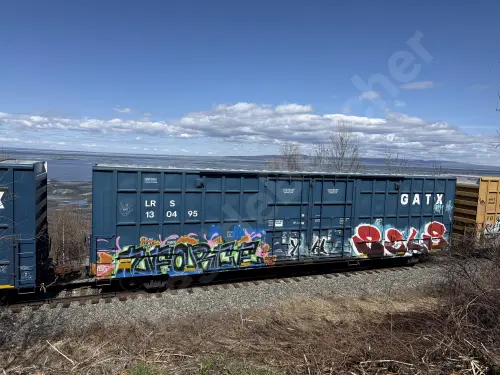 LRS130495