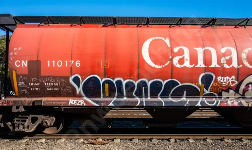 CN110176