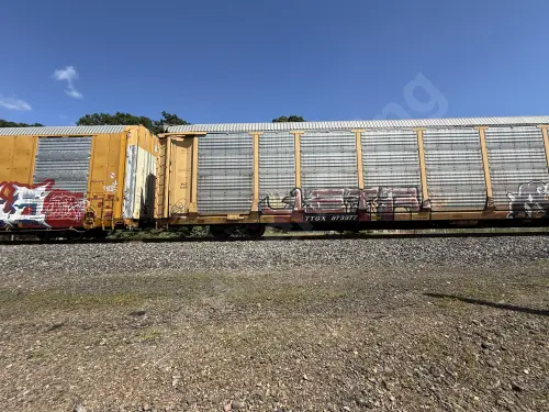 TTGX973377
