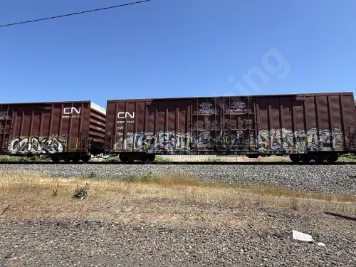 Train photo