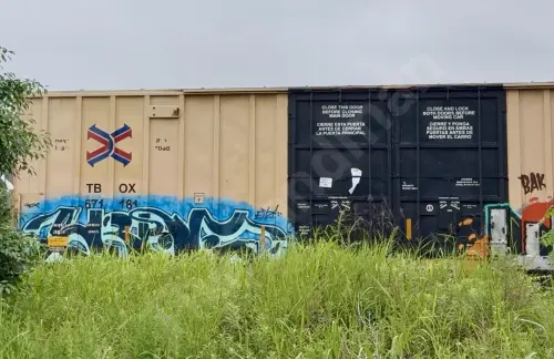 TBOX671181