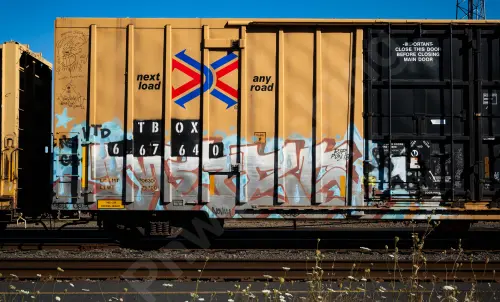 TBOX667640