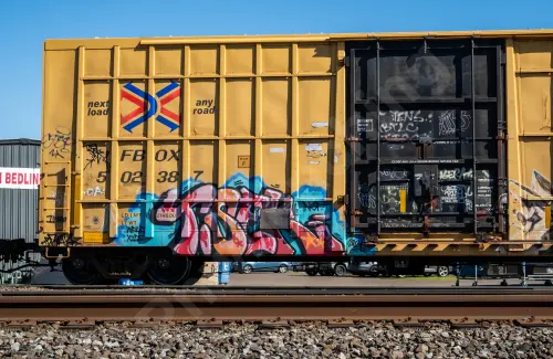 FBOX502387