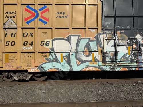 FBOX506456