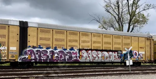 BTTX880274