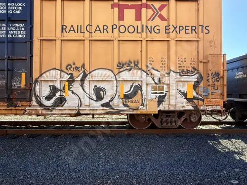 FBOX506795