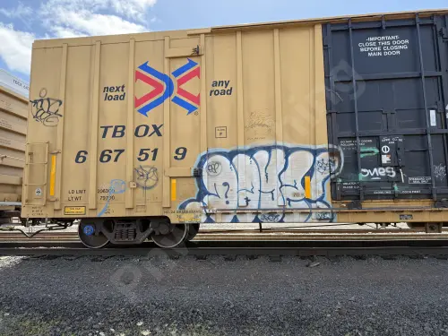TBOX667519