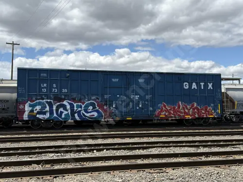 LRS137335