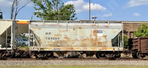 MP705504