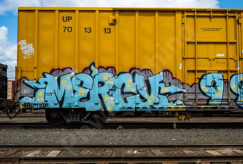 UP701313