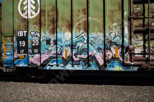 IBT19206