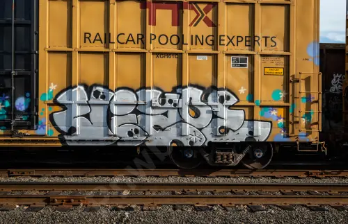 TBOX634073