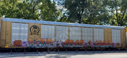 TTGX823038
