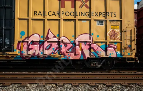 TBOX631758