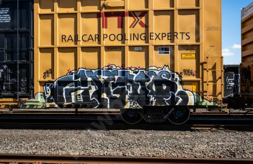 TBOX631955