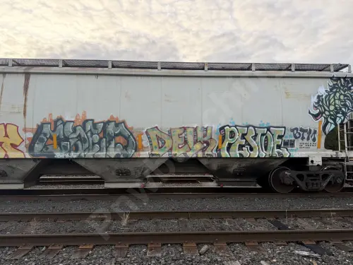 MWCX480506
