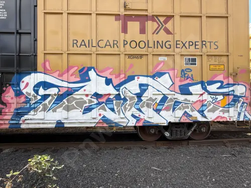 TBOX636657