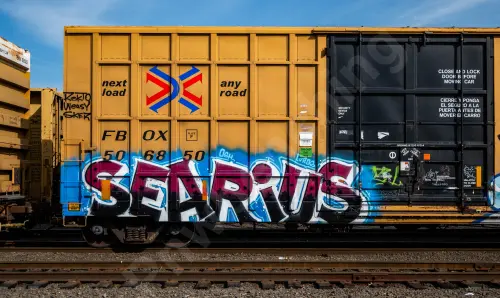 FBOX506850