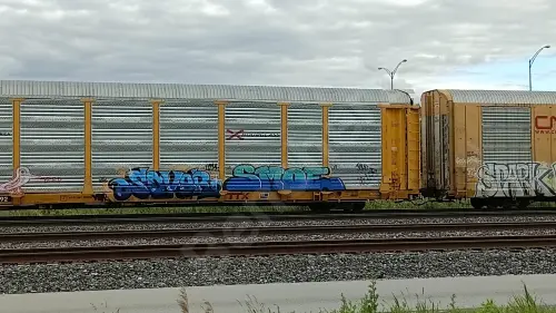 TTGX709992