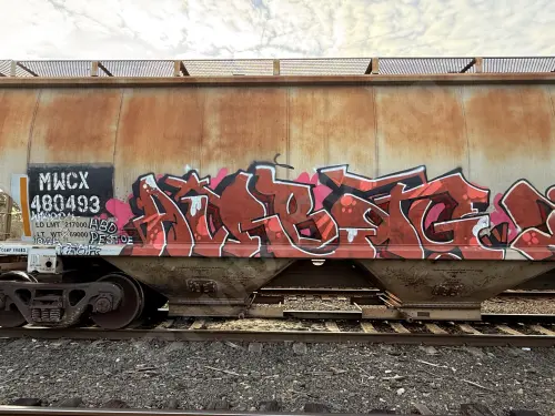 MWCX480493