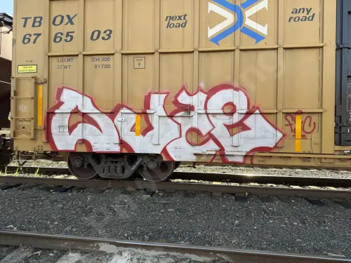 TBOX676503