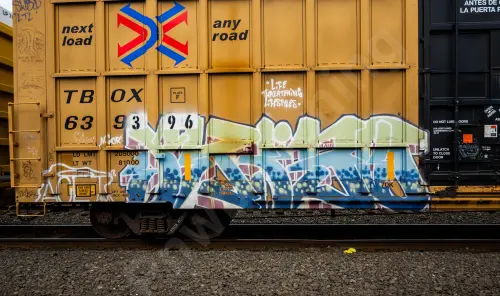 TBOX639396