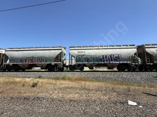 MWCX301267