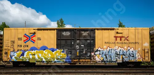 TBOX667420
