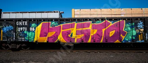 GNTX297186